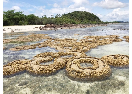 2020–06-09 巴蜀干潮奇景珊瑚、海洋生物出水冒泡